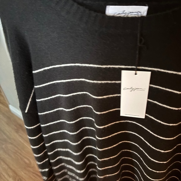 Carly Jean sweater - Picture 1 of 1